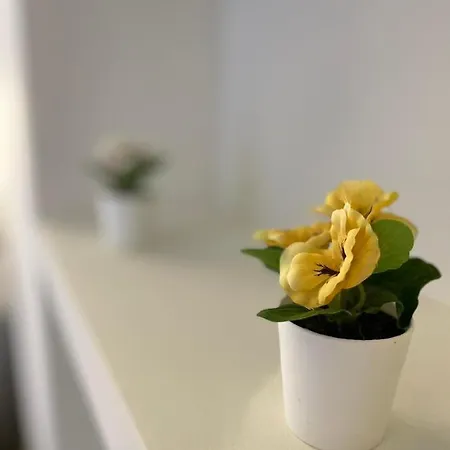 A casa di Beatrice-3